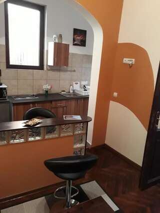 Гостевой дом Motor House Unirii Бухарест Апартаменты с 2 спальнями, видом на сад, собственной кухней и ванной комнатой.-10