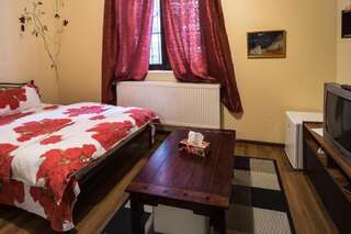 Гостевой дом Motor House Unirii Бухарест Двухместный номер с 1 кроватью и собственной ванной комнатой-13