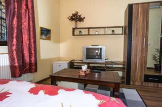 Гостевой дом Motor House Unirii Бухарест Двухместный номер с 1 кроватью и собственной ванной комнатой-24