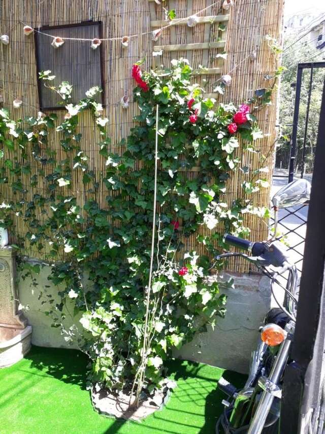 Гостевой дом Motor House Unirii Бухарест-27